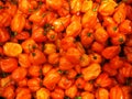 Heap of the most spicy chilies - habanero.