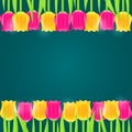 Bright Colorful Tulip Frame