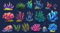 Bright colorful undersea plants and animals - seaweed, coral reef and fish cartoon modern illustration set. Tropical Royalty Free Stock Photo