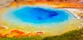 Bright Colors, Hot Spring, Yellowstone National Park Royalty Free Stock Photo