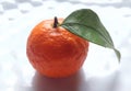 Bright colour of orange fruit with one green leaf Royalty Free Stock Photo