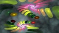 Shape and colour formations