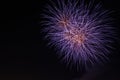 Bright Colourful Fireworks Royalty Free Stock Photo