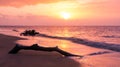 Bright colourful pink sunset on beach in Paramaribo, Surinam