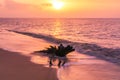 Bright colourful pink sunset on beach in Paramaribo, Surinam