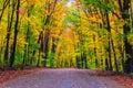 A morning drive in Algonquin among autumn colours Royalty Free Stock Photo