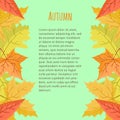 Bright colourful vertical border with autumn leaves on blue background.