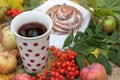A A bright composition with a cup of strong black tea, a sweet bun with raisins, ash berries, apples and colorful autumn leaves on Royalty Free Stock Photo