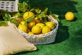 Bright composition of lemons in basket