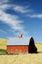 Bright Country Barn