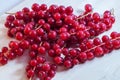 Bright cranberries on a white background. studio photos