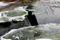 Bright creek with icy snow. Beautiful winter, icy abstract background. Pieces of plants and green algae with air bubbles froze in