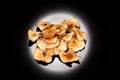 bright, crispy, crisp snack of ripe and sweet apple on a black background, for culinary design