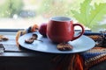 Bright cup with coffee on a window background, apples on a plate, warm scarf, leaves