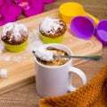 Bright Cupcake with icing sugar and chocolate