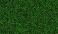 Bright curled lush green grass panoramic texture Royalty Free Stock Photo