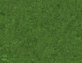 Bright curled twisted green grass texture