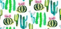 Bright cute beautiful abstract lovely mexican tropical floral herbal summer green set of a cactus paint like child vector illustra