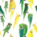 Bright cute beautiful jungle lovely yellow and green parrots random pattern watercolor Royalty Free Stock Photo