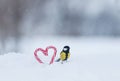 cute bird tit sitting on sweet red candy lollipops in the shape of a heart in white snow on a festive Valentine`s day