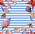 Bright cute graphic lovely beautiful wonderful summer fresh marine beach colorful seashells and starfishes on white blue stripes b