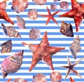 Bright cute graphic lovely beautiful wonderful summer fresh marine beach colorful seashells and starfishes on white blue stripes b