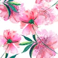 Bright cute tender lovely beautiful wonderful spring floral herbal pink peony with green leaves and buds watercolor hand illustrat Royalty Free Stock Photo
