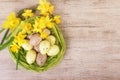 Bright daffodil flowers with straw nest filled with colourful pastel Easter Eggs. Top view, text space