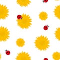 Bright Dandelion yellow flowers with red ladybugs seamless pattern. Spring or summer floral pattern on white background Royalty Free Stock Photo