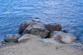 Bright, dark blue river and sky, visible second Bank Royalty Free Stock Photo