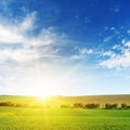 Bright dawn over corn field.