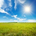 Bright dawn over field of beautiful flowers in grass