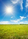 Bright dawn over field of beautiful flowers in grass