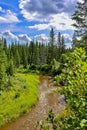 Bright Day At An Edmonton Ravine