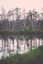 bright day at a forest lake wih fog - vintage effect Royalty Free Stock Photo