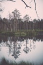 bright day at a forest lake wih fog - vintage effect Royalty Free Stock Photo