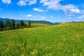 Bright day on the mountain meadow with yellow flowers, blue sky with clouds over mountains. Royalty Free Stock Photo