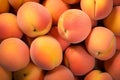 bright delicious juicy peaches, peach background