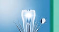Bright dental tools and tooth model with gleaming light Royalty Free Stock Photo