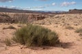 bright desert brush landscape horizontal utah Royalty Free Stock Photo