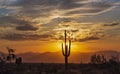 Bright Desert Sunrise In Arizona