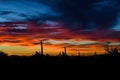 Beautiful Arizona desert sunset with silhouettes
