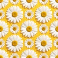 Bright Diagonal Daisy Grid Pattern on Yellow Background Royalty Free Stock Photo