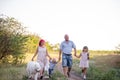 Bright diversity family walks on the paths in field with Samoyed dog. Traveling with pets Royalty Free Stock Photo
