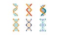 Bright DNA strands set, spiral genetic material vector Illustration on a white background