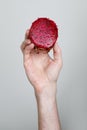 Bright Dragon fruit in male hand on white background. Cut red fleshed pitahaya fruit food closeup Royalty Free Stock Photo