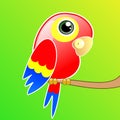 Bright drawn parrot