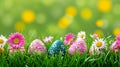 Bright Easter banner with painted Easter eggs and spring flowers in green grass against the background of blurred yellow Royalty Free Stock Photo