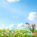 Bright Easter eggs and flowers in grass against blue background, space for text Royalty Free Stock Photo