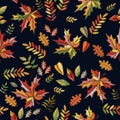 Bright embroidery seamless pattern with colorful autumn leaves on black background